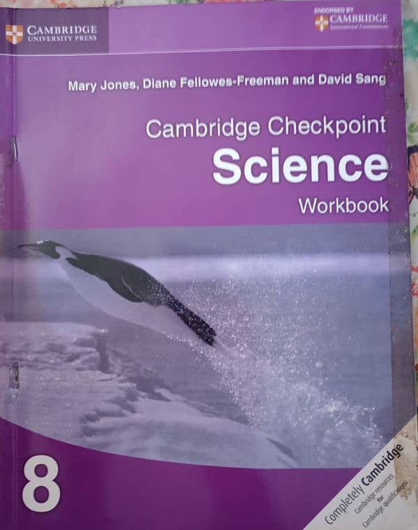 Cambridge Books for Class P-2 (VII) - Half Price 5