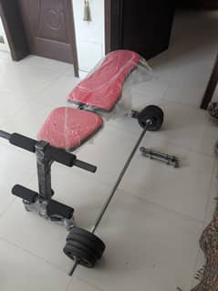 bench, barbell bar, dumbbells