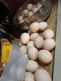 Desi eggs sale