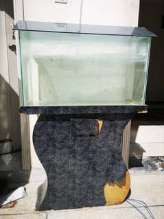 Fish Aquarium