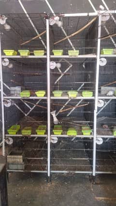 Birds Cage For Sale