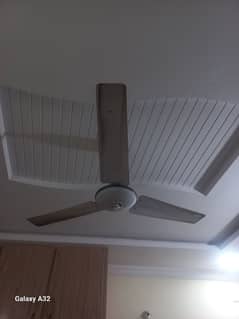 3 to 5 Years Old Fans for Sale