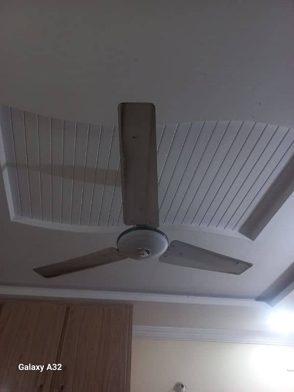 3 to 5 Years Old Fans for Sale 0