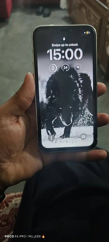 iPhone Xr converted in iphone 13 pro 6