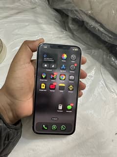 12 Pro max Fu Sim working