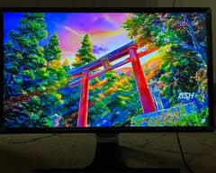 Samsung SE390 24 inch Monitor