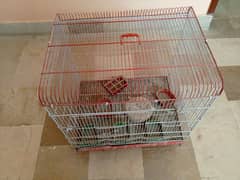 Birds Cage Urgent Sale