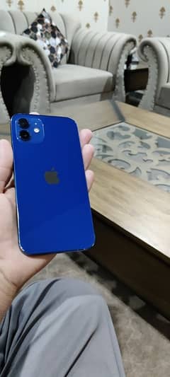 iPhone 12 pta approved