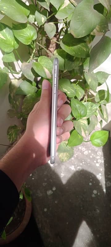 IPhone 7plus pta approved (03096086703) 4