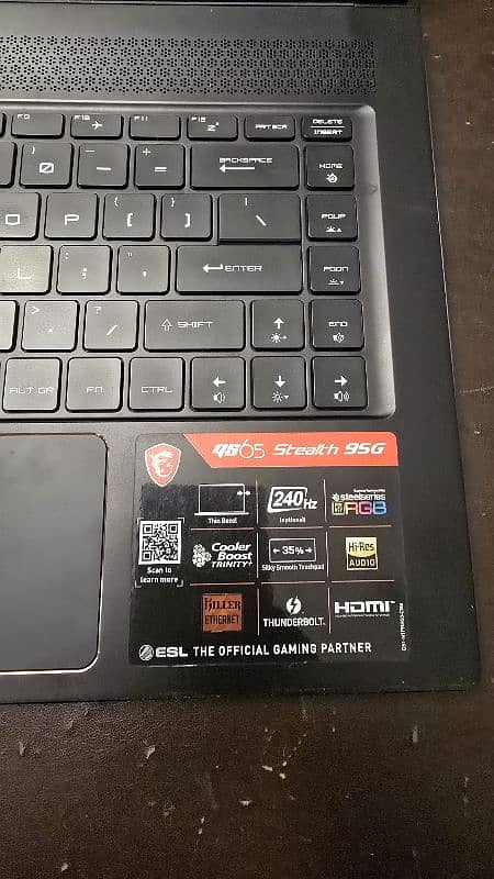 MSI GS65 Stealth gaming laptop 32 gb 4