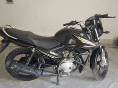 Yamaha YBR 2021 (LEAST USED)