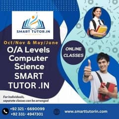 One-on-One online tutor service