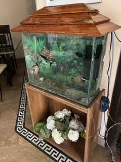 2Ft Aquarium for Sale