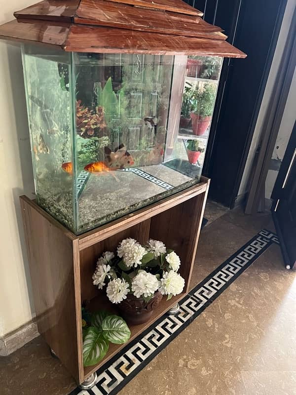 2Ft Aquarium for Sale 1