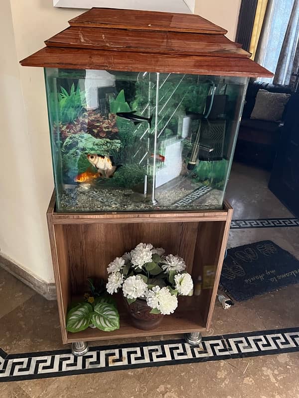 2Ft Aquarium for Sale 2