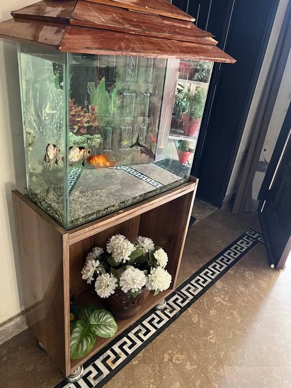 2Ft Aquarium for Sale 3