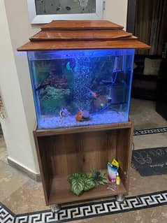 2Ft Aquarium for Sale