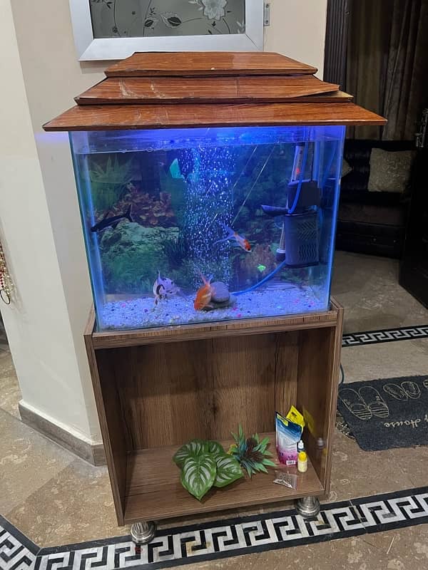 2Ft Aquarium for Sale 4