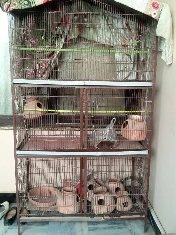 birds cage 0