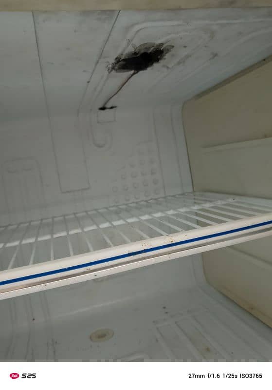 Dawlance Fridge Medium Size for sale 6