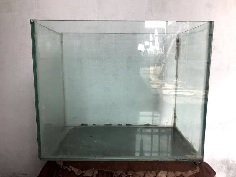 Fish Aquarium 0