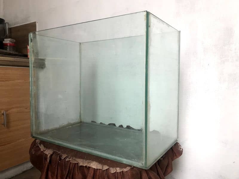 Fish Aquarium 4