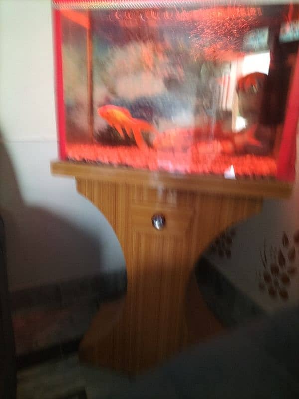 fish and aquarium and filter for sale 1