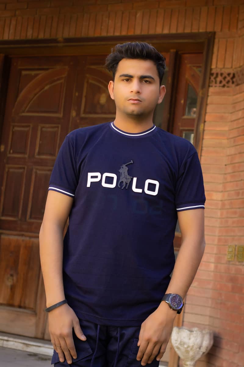 T-shirt polo shirt Imported shirt Branded shirt half sleeve 13