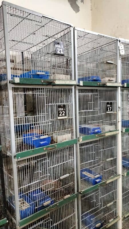 bird cages and breading boxes 6