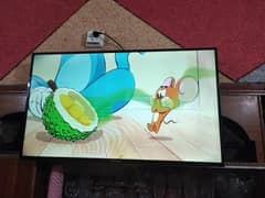 Eco Star 49 Inch Smart led