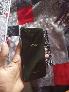 vivo