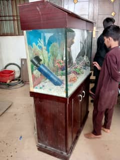 Fish Tank