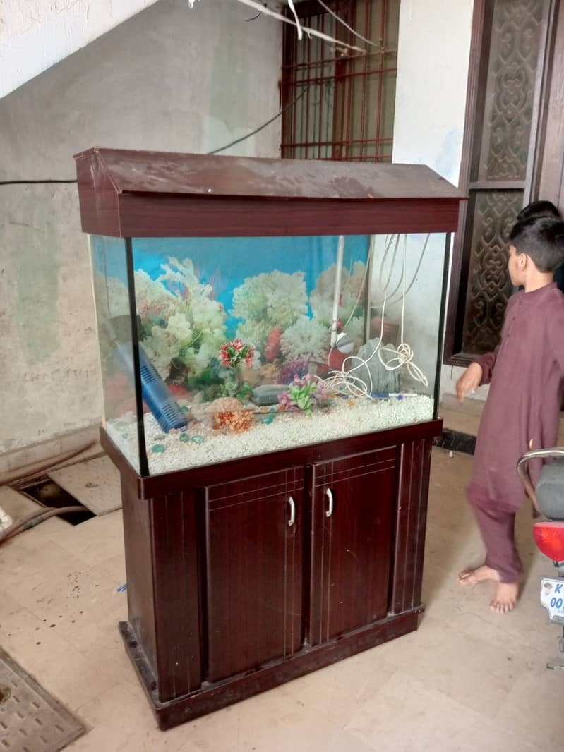 Fish Tank 3