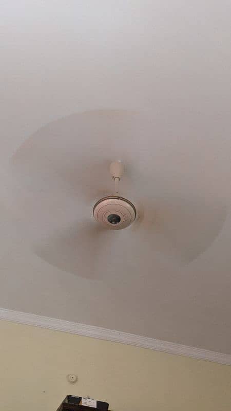 Ceiling fan 1