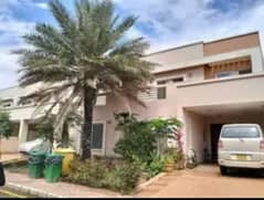 Precinct 10A 200sq. y 3beds neat and clean villa available for rent 03135549217