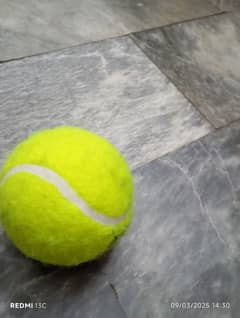 ball used