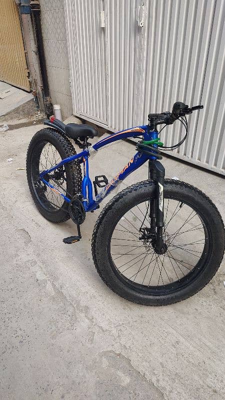 Caspian 900 Bicycle Fat Tyres 6