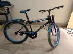 Turbo mountain Bicycle