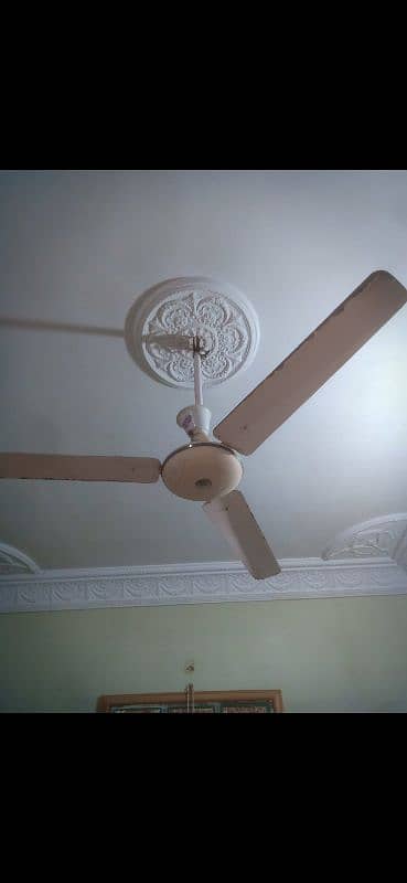 Fan for Sale 2