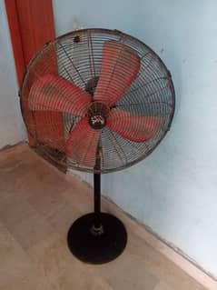 Fan