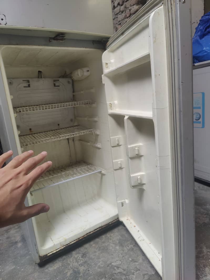 Medium Refrigerator 6