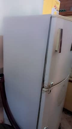 Fridge