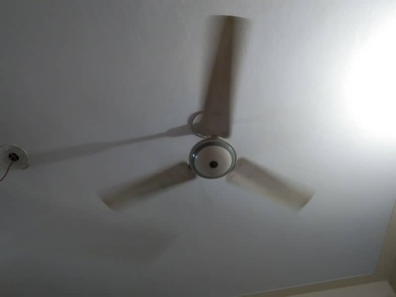 Ceiling fans 1