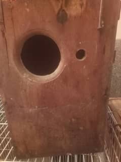 lovebird box for sale