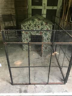 dog house