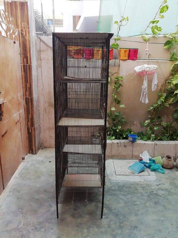 Bird Cage 9