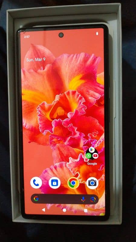 google pixel 6 for sale 5