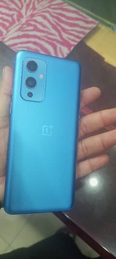 one plus blue colour