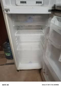 No frost fridge