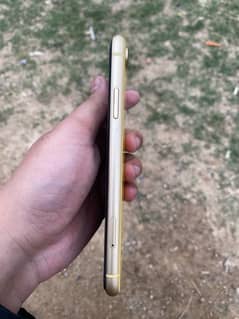 Iphone XR non pta